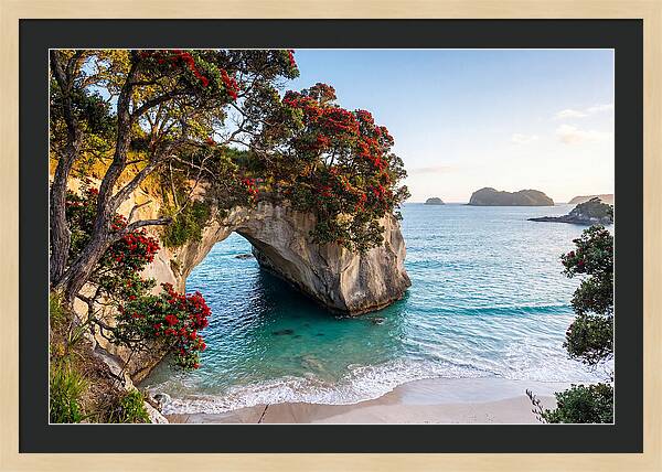 Coromandel Coastline Serenity