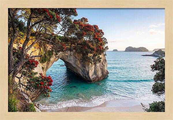 Coromandel Coastline Serenity