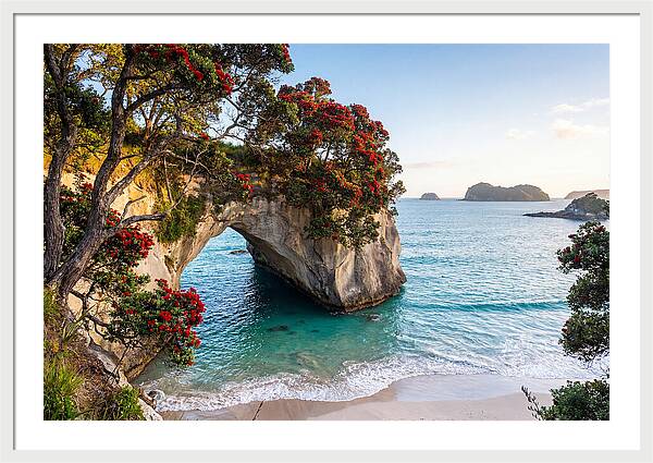 Coromandel Coastline Serenity