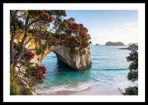 Coromandel Coastline Serenity