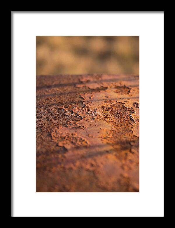 Corroded Metal Beauty