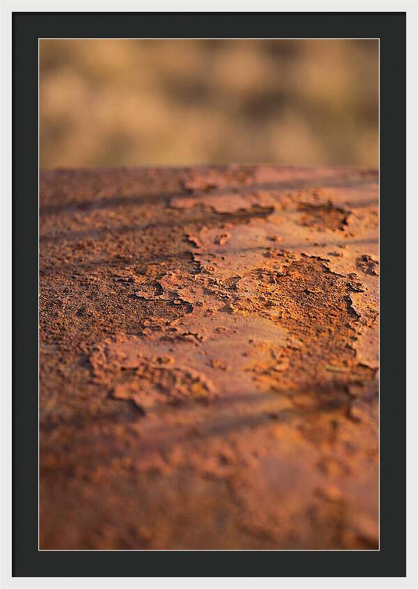 Corroded Metal Beauty