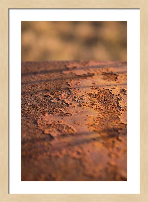 Corroded Metal Beauty