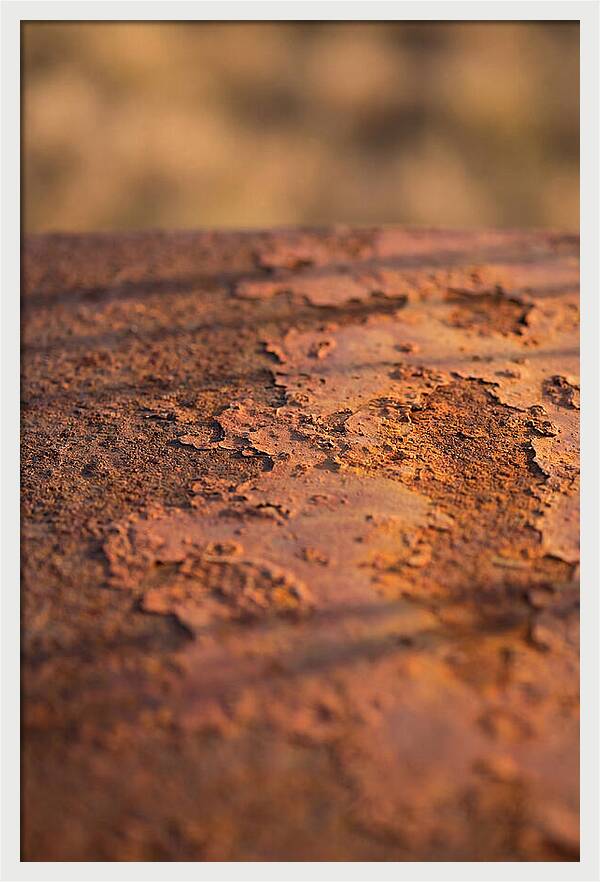 Corroded Metal Beauty