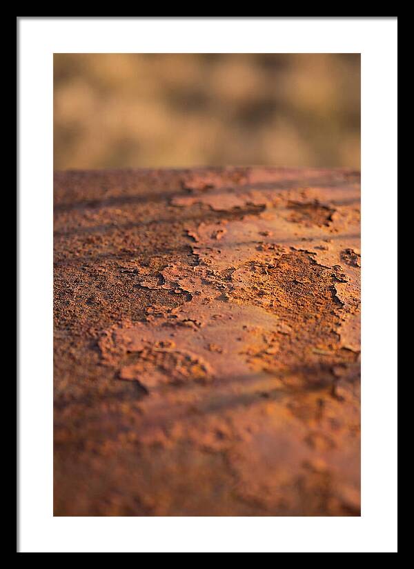 Corroded Metal Beauty