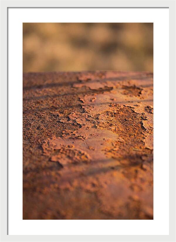 Corroded Metal Beauty