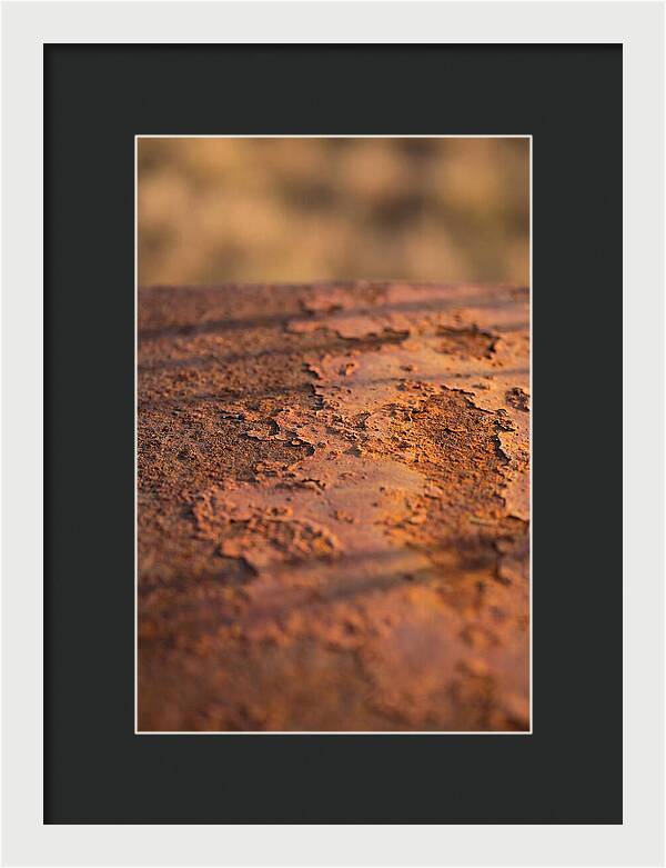 Corroded Metal Beauty