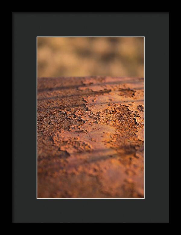 Corroded Metal Beauty