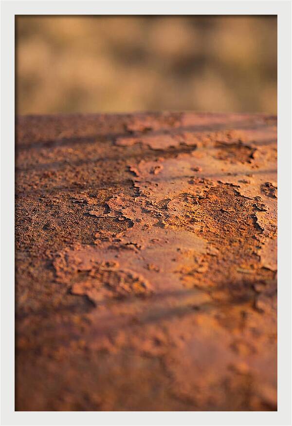 Corroded Metal Beauty
