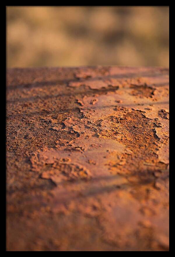 Corroded Metal Beauty