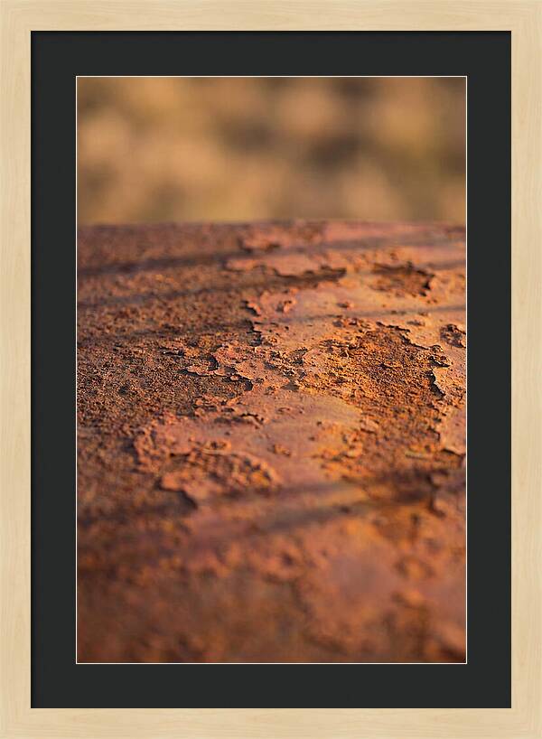 Corroded Metal Beauty