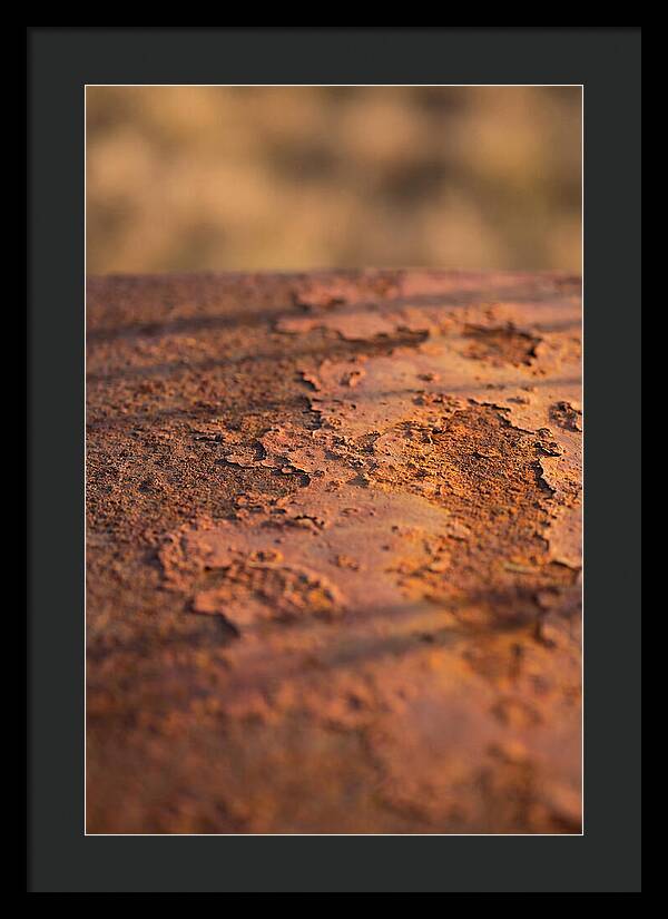 Corroded Metal Beauty