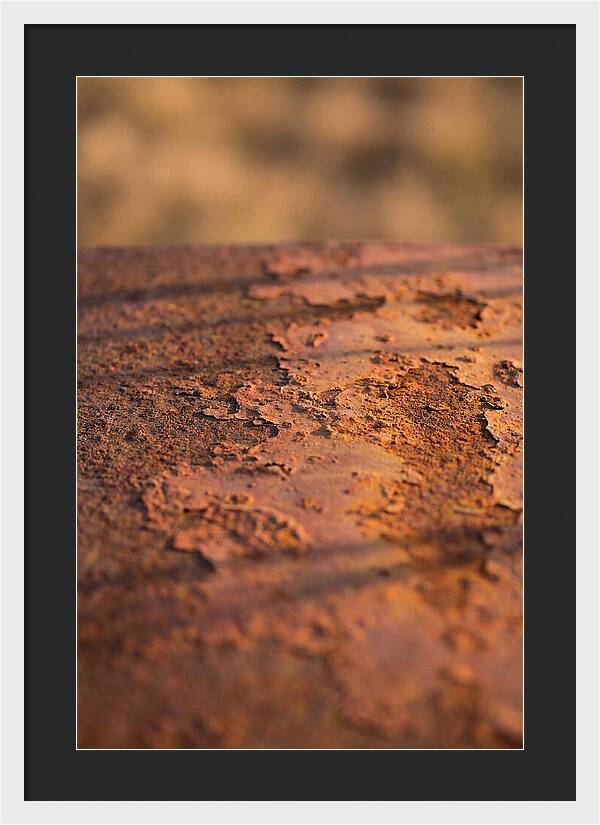 Corroded Metal Beauty