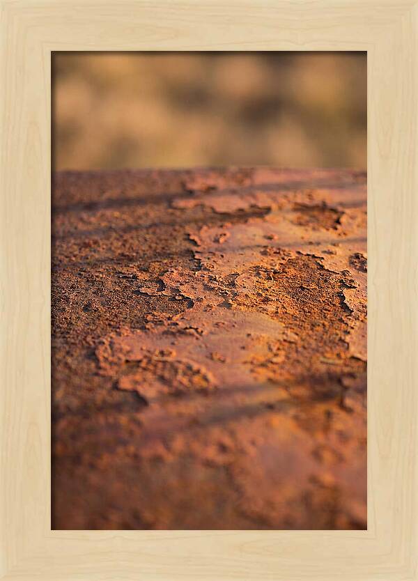 Corroded Metal Beauty