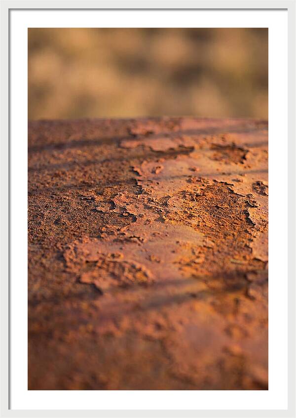 Corroded Metal Beauty