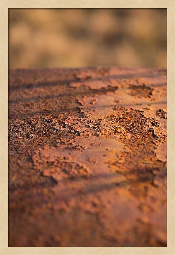 Corroded Metal Beauty