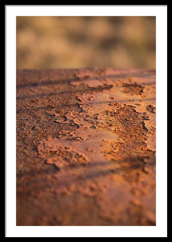 Corroded Metal Beauty
