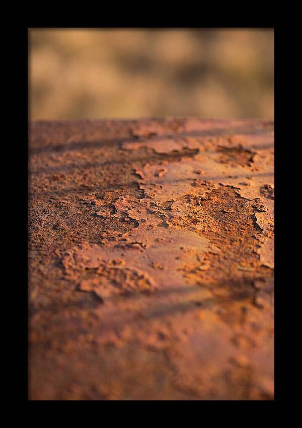 Corroded Metal Beauty