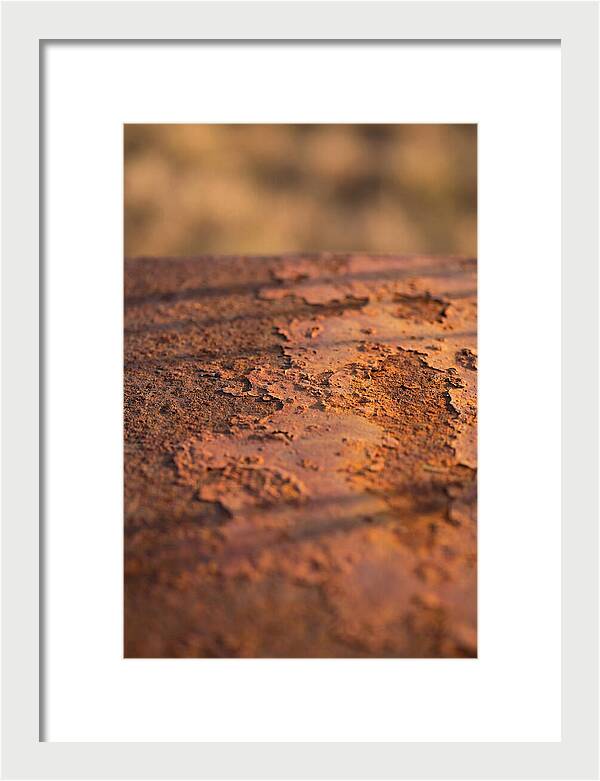 Corroded Metal Beauty