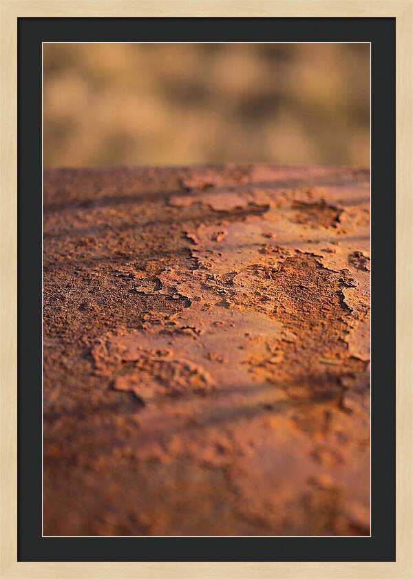 Corroded Metal Beauty
