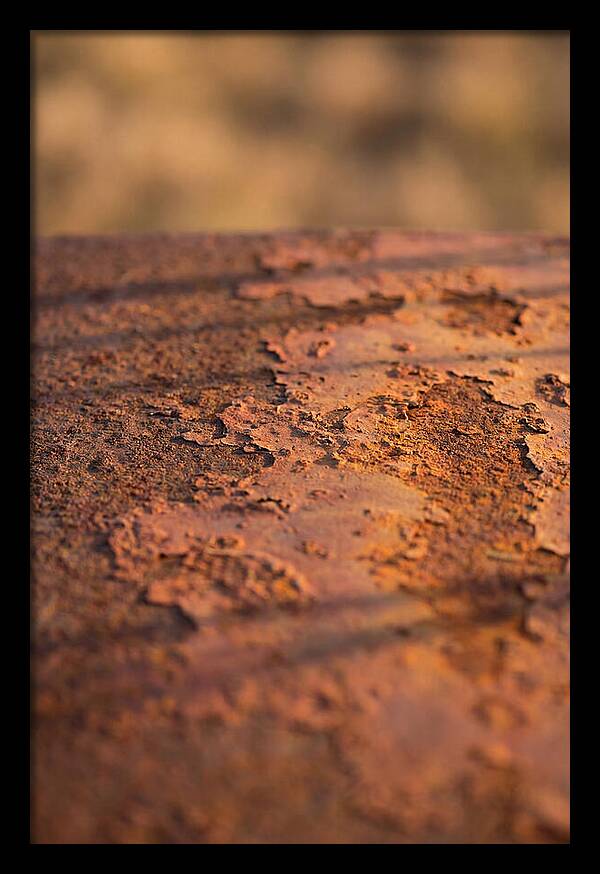 Corroded Metal Beauty