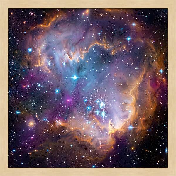 Cosmic Landscape