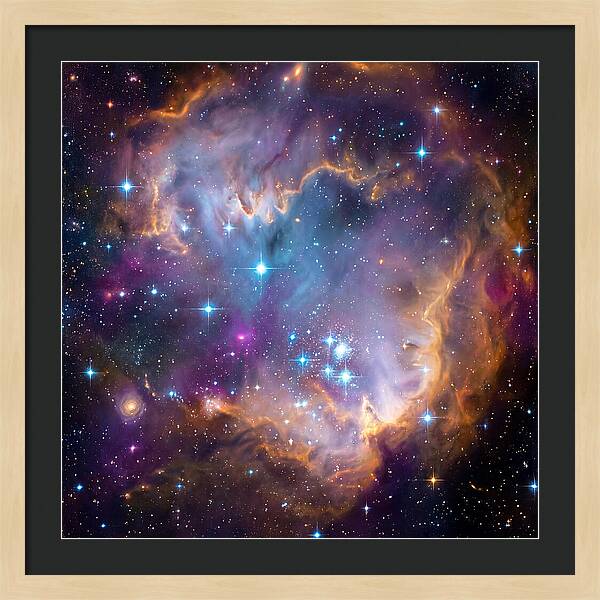 Cosmic Landscape