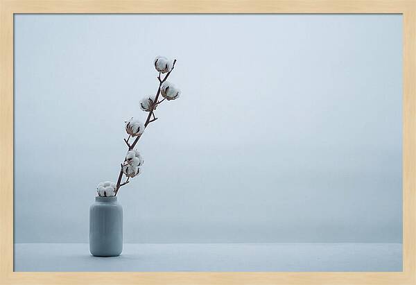 Cotton Branch Serenity