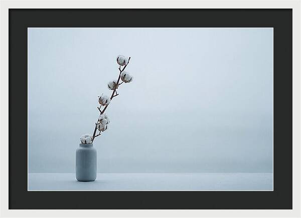 Cotton Branch Serenity