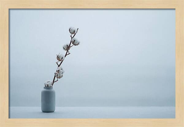 Cotton Branch Serenity