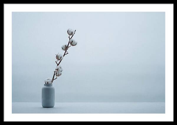 Vase Art