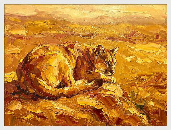 Cougar Resting In Golden Landscape