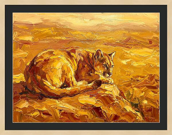 Cougar Resting In Golden Landscape
