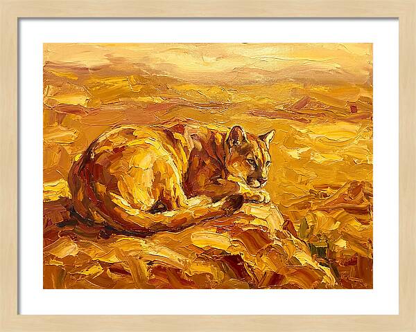 Cougar Resting In Golden Landscape