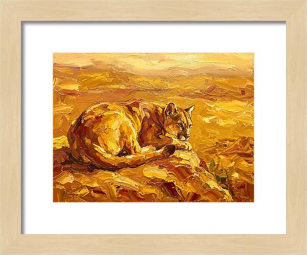 Cougar Resting In Golden Landscape
