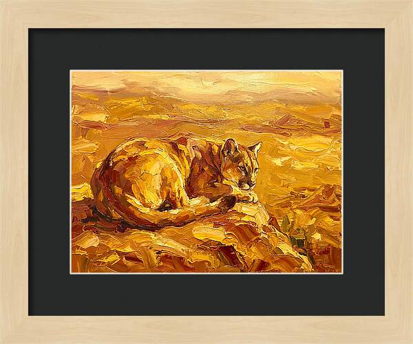 Cougar Resting In Golden Landscape