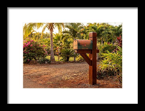 Country Mailbox Amidst Lush Flora