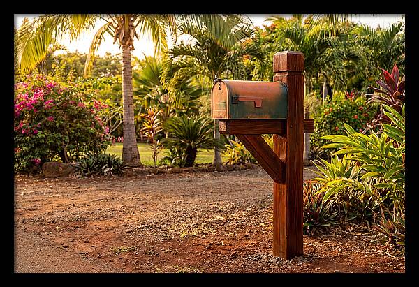 Country Mailbox Amidst Lush Flora