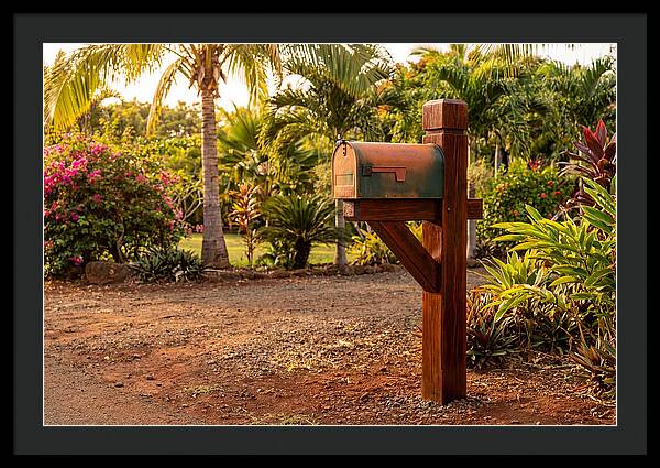 Country Mailbox Amidst Lush Flora