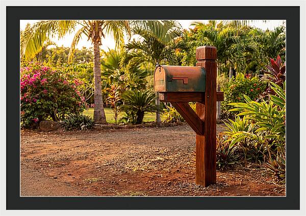 Country Mailbox Amidst Lush Flora