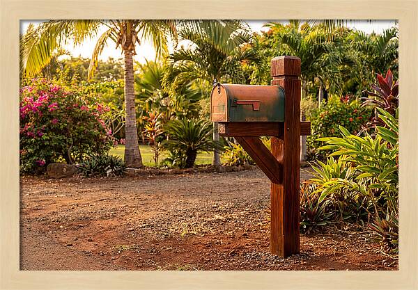 Country Mailbox Amidst Lush Flora