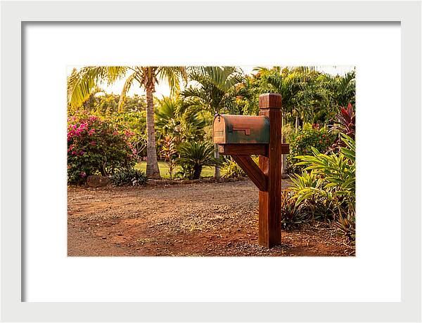 Country Mailbox Amidst Lush Flora