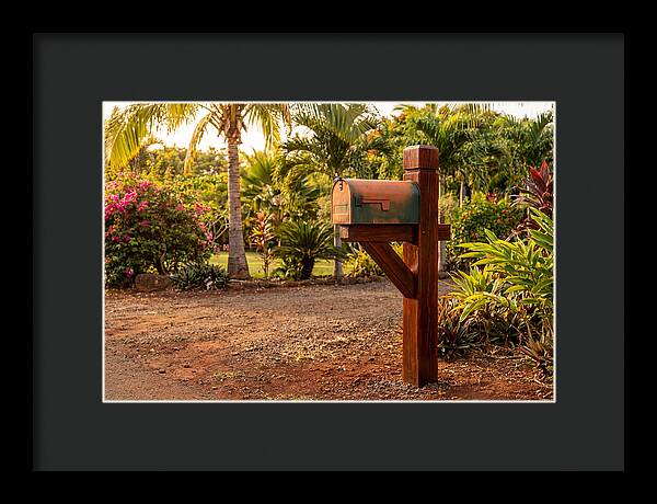 Country Mailbox Amidst Lush Flora