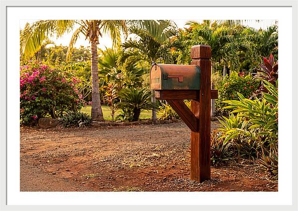 Country Mailbox Amidst Lush Flora