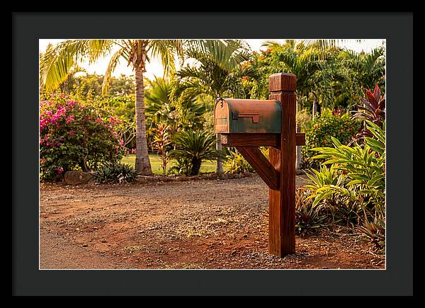Country Mailbox Amidst Lush Flora