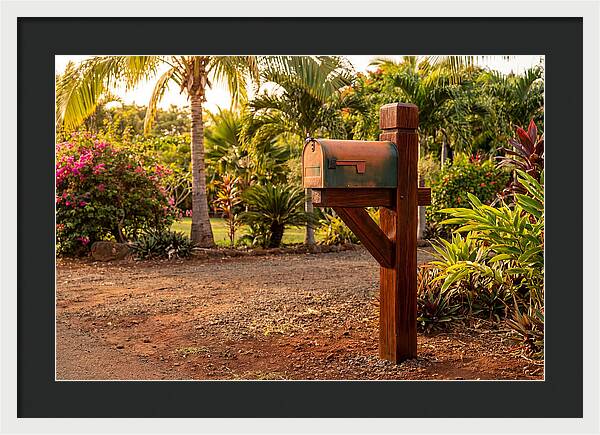 Country Mailbox Amidst Lush Flora