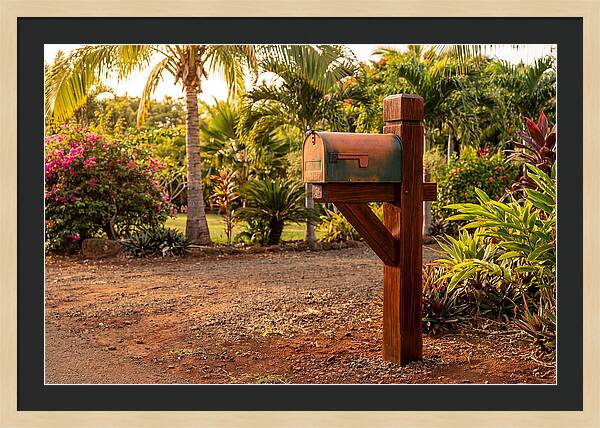 Country Mailbox Amidst Lush Flora