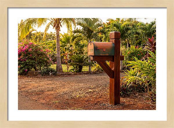Country Mailbox Amidst Lush Flora