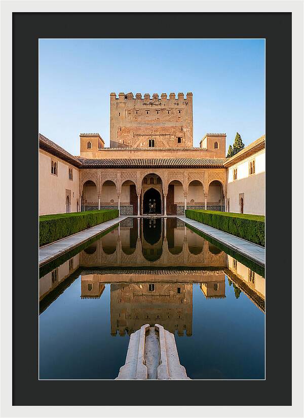 Court Of The Myrtles Reflection