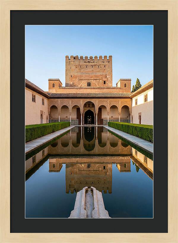 Court Of The Myrtles Reflection